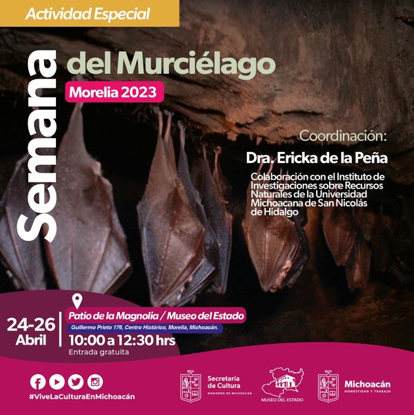 Celebrará Secum semana del murciélago, en el Museo del Estado