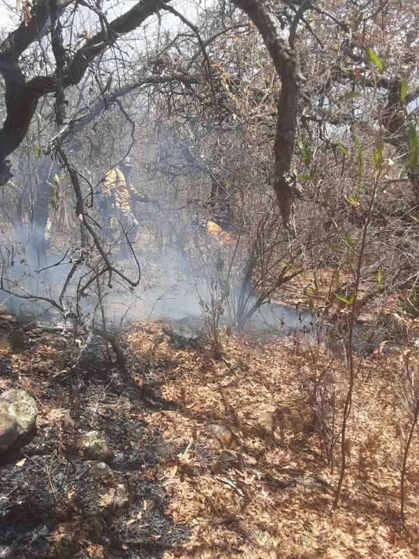 Atiende Gobierno de Michoacán incendio forestal en cerro de la Beata, en Zamora