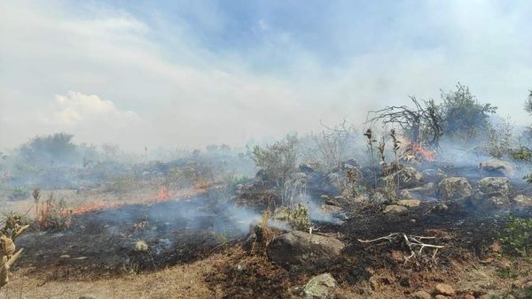 Sigue el incendio forestal en Tzintzuntzan