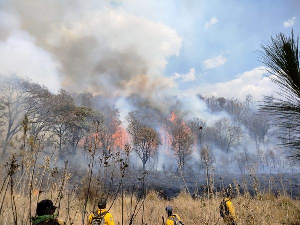 Combatiente de incendios forestales, una de las profesiones de alto riesgo