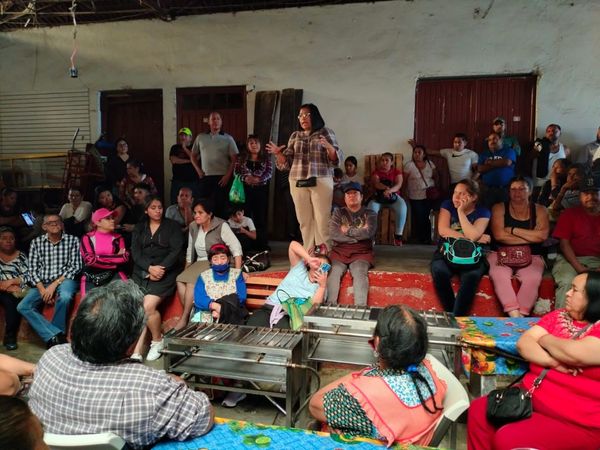 Comerciantes del Mercado Municipal harían censo