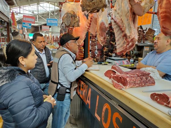 Gobierno del Estado, realiza censo en Pátzcuaro