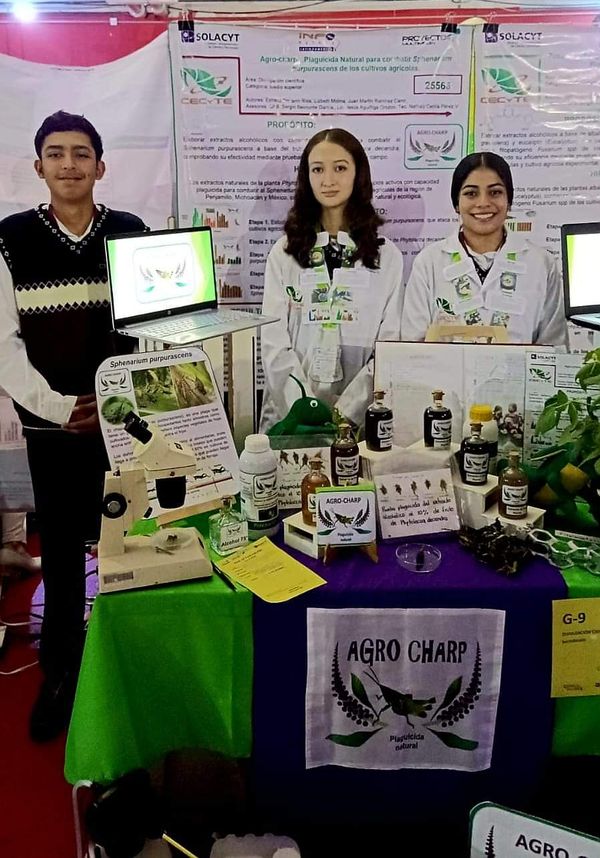Ganan estudiantes del Cecytem 4 medallas en concurso nacional de ciencia