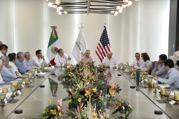 Bedolla y Ebrard acuerdan con APEAM plan para regular cultivos de aguacate y formalización laboral