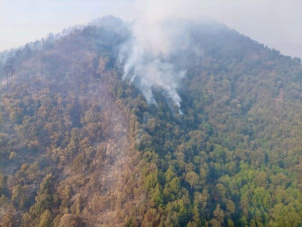 Más de 400 brigadistas combaten incendio forestal en cerro Grande