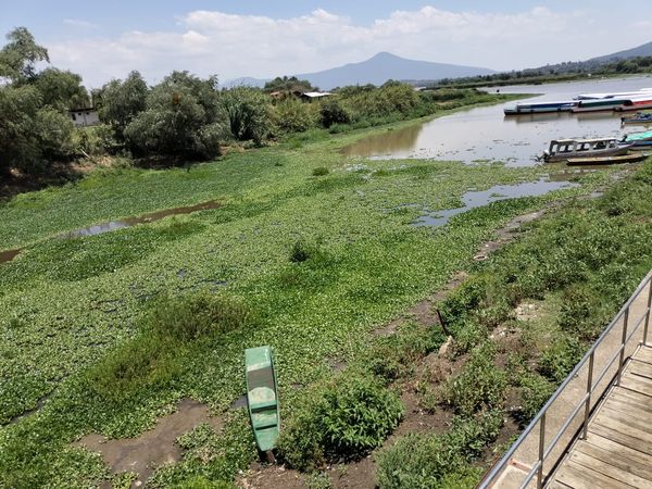 Anuncia Bedolla ampliación presupuestal para el rescate del Lago de Pátzcuaro