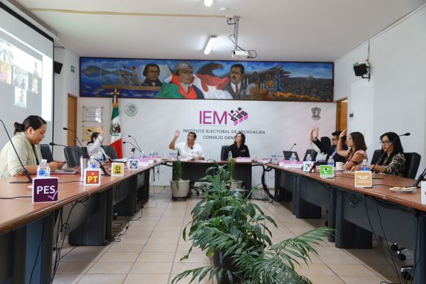 Más Michoacán, Tiempo por México y Michoacán primero, recibirán prerrogativas de Ley