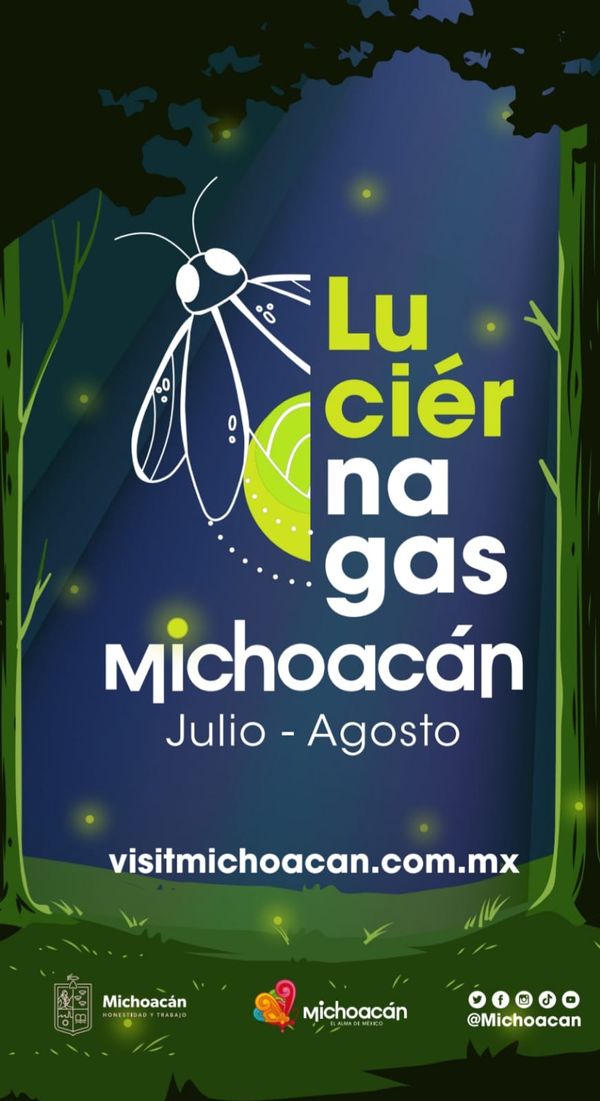 Llegó la Temporada de Avistamiento de Luciérnaga