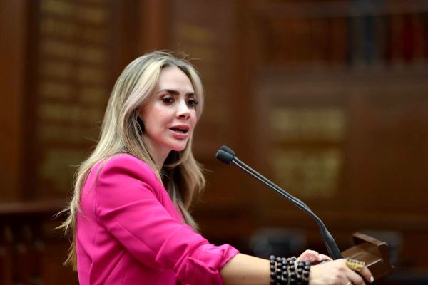 Apoyo directo del gobierno para todos los artesanos, propone Samanta Flores