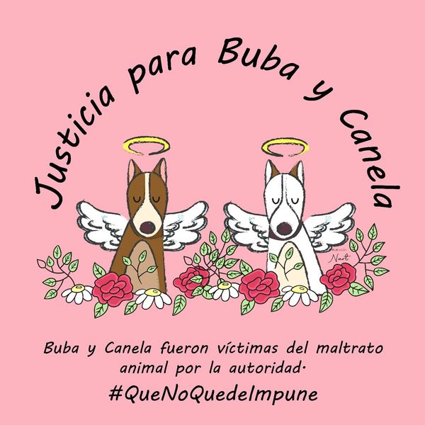 Acusan a Presidente Municipal de asesinar a perritos