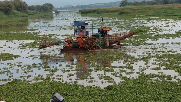 Avanza dragado en canales de navegación del lago de Pátzcuaro