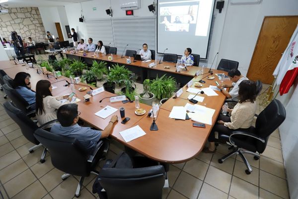 Presenta IEM informe sobre violencia política contra las mujeres en razón de género y encuestas