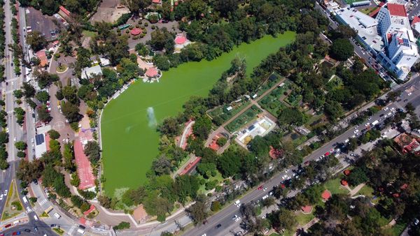 Zoo de Morelia cumple 53 años de contribuir a la preservación de especies