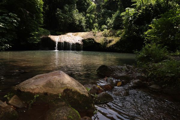 Se declararon 12 mil nuevas hectáreas de protección ambiental