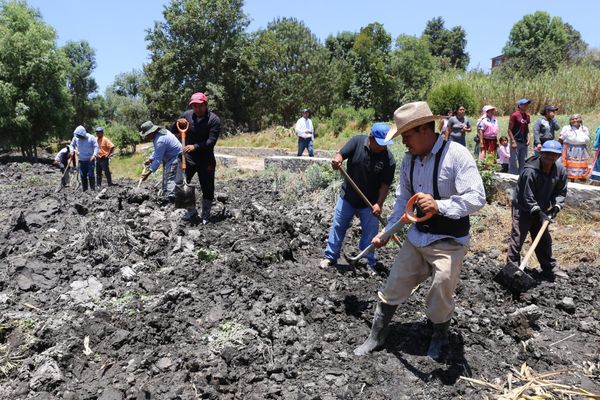 Se concreta y aplica programa de preservación del lago de Pátzcuaro: Bedolla