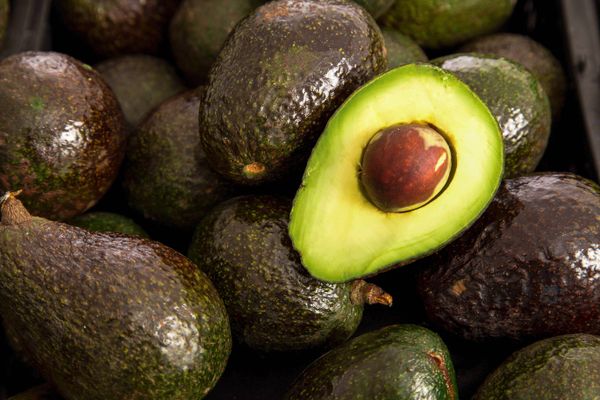 Prepara Gobierno de Michoacán certificación para exportación de aguacate