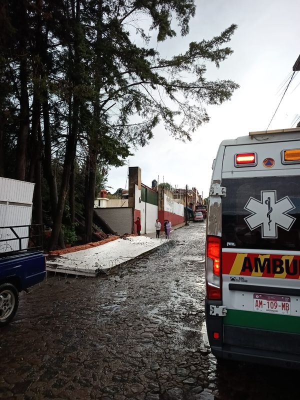 Lluvia y viento tiraron árboles y barda en Pátzcuaro