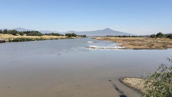 Respira el Lago de Pátzcuaro, subió su nivel