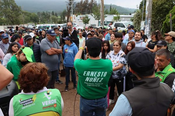 PVEM se pone las pilas para reforestar