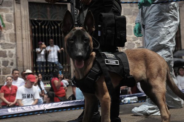 SSP reporta saldo blanco en Michoacán por fiestas patrias