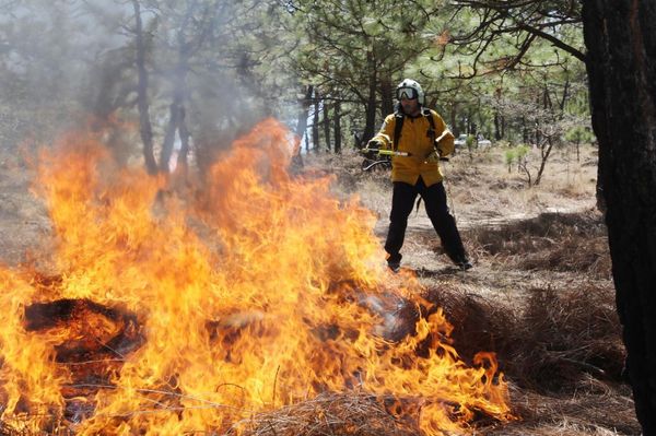 Brigadistas estatales y municipales atienden incendio forestal en Epitacio Huerta