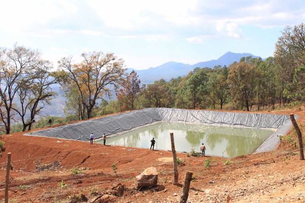 Guardián Forestal vigila uso legal de más de 35 mil ollas de agua
