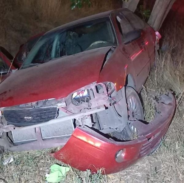 Coche se impactó contra un árbol