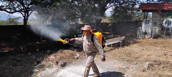 Bajan 65 % casos de dengue en Michoacán: SSM