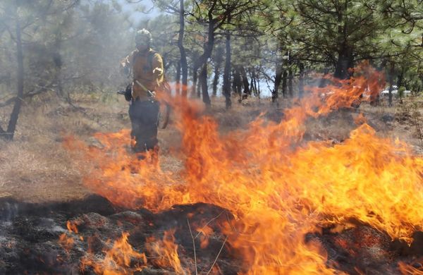 Brigadas forestales atienden 7 incendios y liquidan 2 más en Michoacán