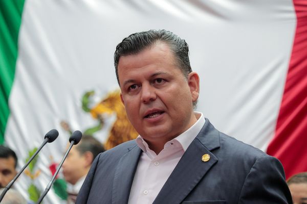 Propone Memo Valencia que los animales no sean víctimas del crimen organizado