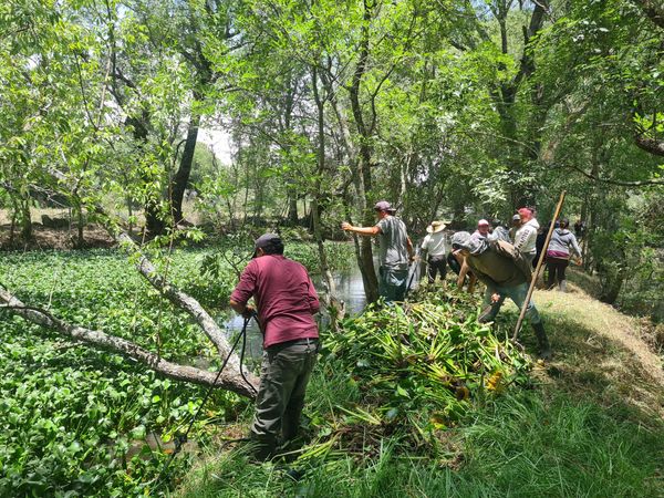 Abierta convocatoria del Premio al Mérito Ambiental 2025: Secma