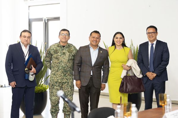 Acuerdan operativos y acciones permanentes conjuntas con Jalisco, Guanajuato y Colima: Torres Piña
