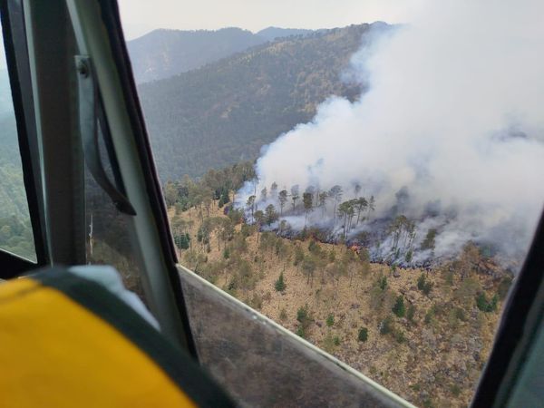 Por aire y tierra Gobierno de Michoacán combate incendio en el Pico de Tancítaro