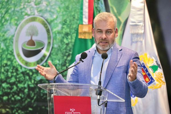 Michoacán, líder agroexportador de aguacate, arándano y limón: Bedolla