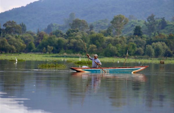Recuperadas en un año 334 hectáreas de superficie del lago de Pátzcuaro