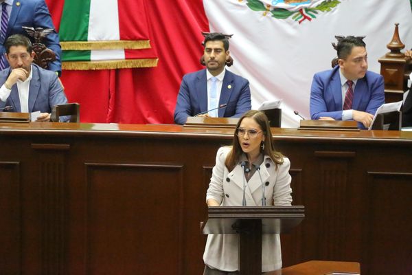 Indispensable apostarle a la capacitación política de las mujeres: Nalleli Pedraza
