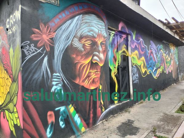 Arte Urbano en la colonia Juventino Rosas