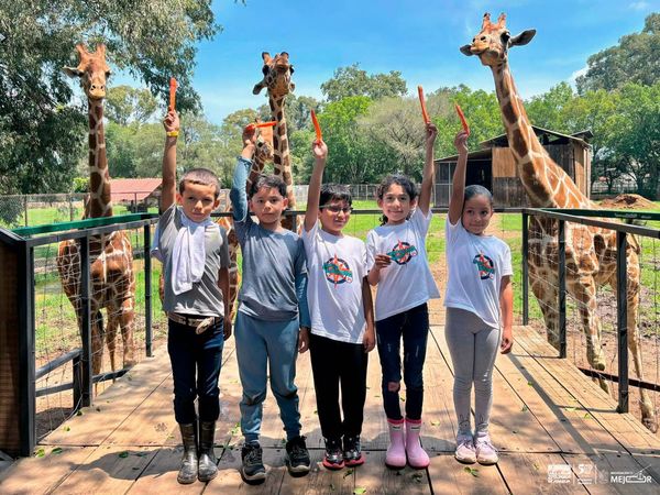Disfruta un verano de aventura en el Zoológico de Morelia