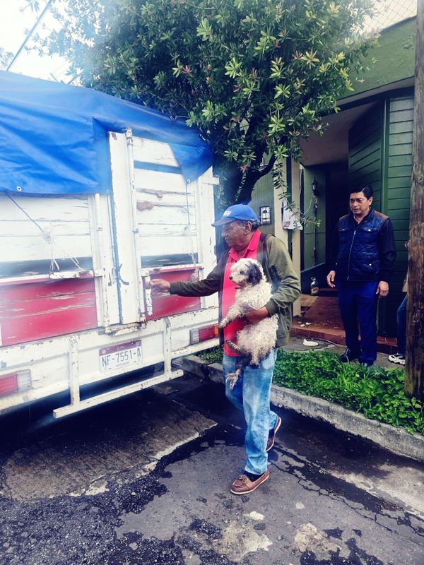 Fiscalía General inicia Carpeta de Investigación por hechos de crueldad animal ocurridos en Jiquilpan