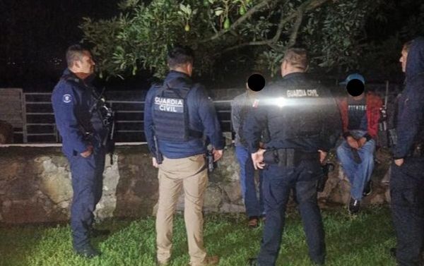 Se recupera ganado en Erongarícuaro