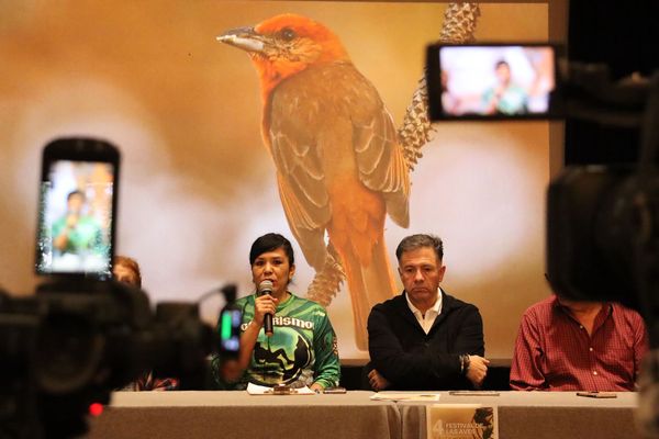 Únete al Festival de Aves de Michoacán y descubre la belleza de nuestras especies: Sectur