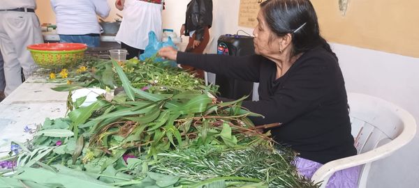 A preservar la medicina  tradicional indígena