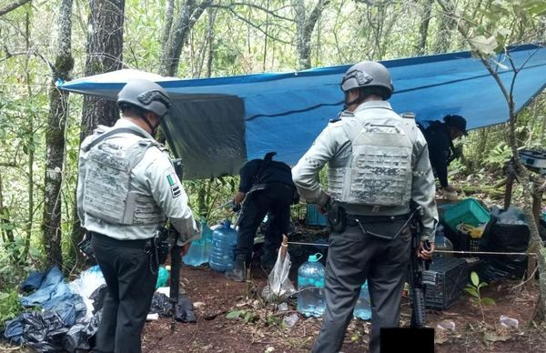En Michoacán, Guardia Nacional desmantela 6 campamentos clandestinos y asegura vehículos