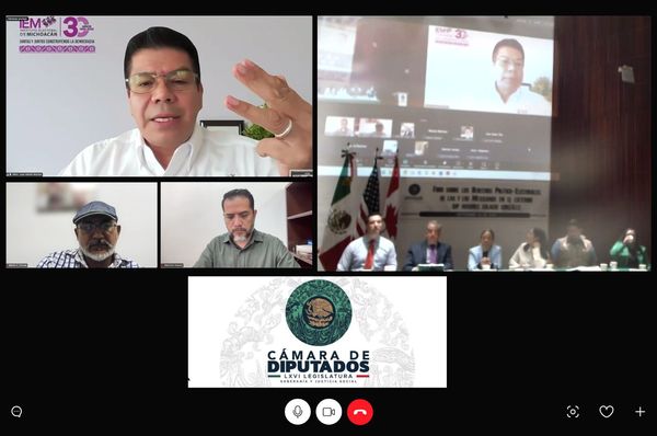Foro Federal en el Congreso de la Unión destaca necesidad de una reforma electoral con visión binacional: IEM