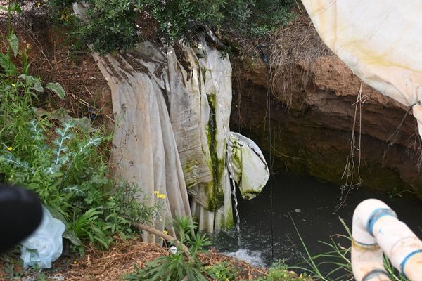 Encabeza Conagua Michoacán operativo contra huachicol en el lago de Pátzcuaro
