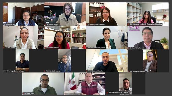 Aprueba el IEM integración de Observatorios Ciudadanos de los Ayuntamientos de la Piedad e Indaparapeo