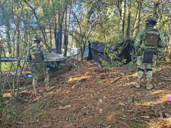 Destruye Guardia Civil campamentos de la delincuencia organizada