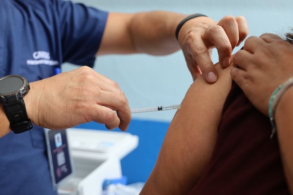 Continúa campaña de vacunación invernal; disponibles 460 mil dosis contra la influenza: SSM