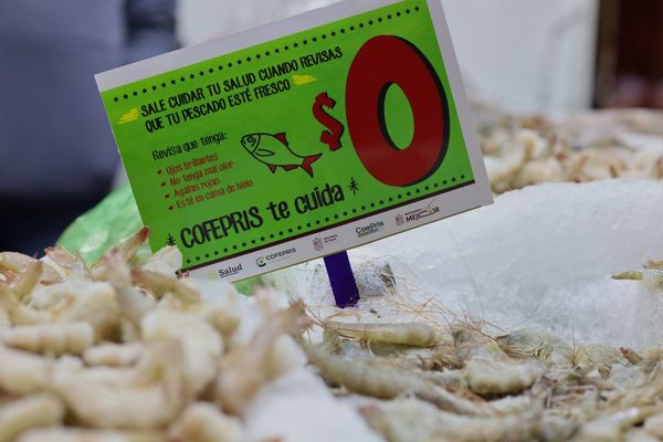 SSM activa operativo de Cuaresma; vigilará venta de pescados y mariscos