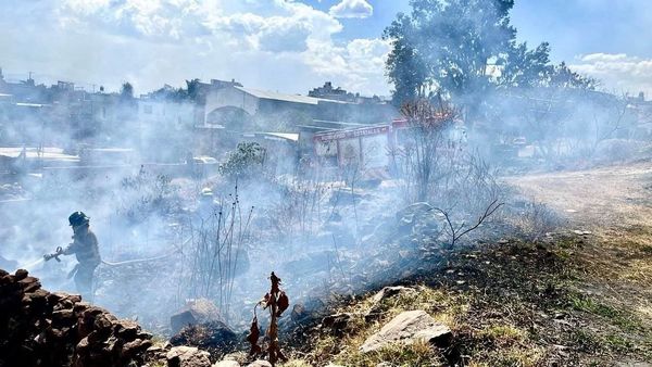 SSM llama a proteger las vías respiratorias en caso de incendios forestales